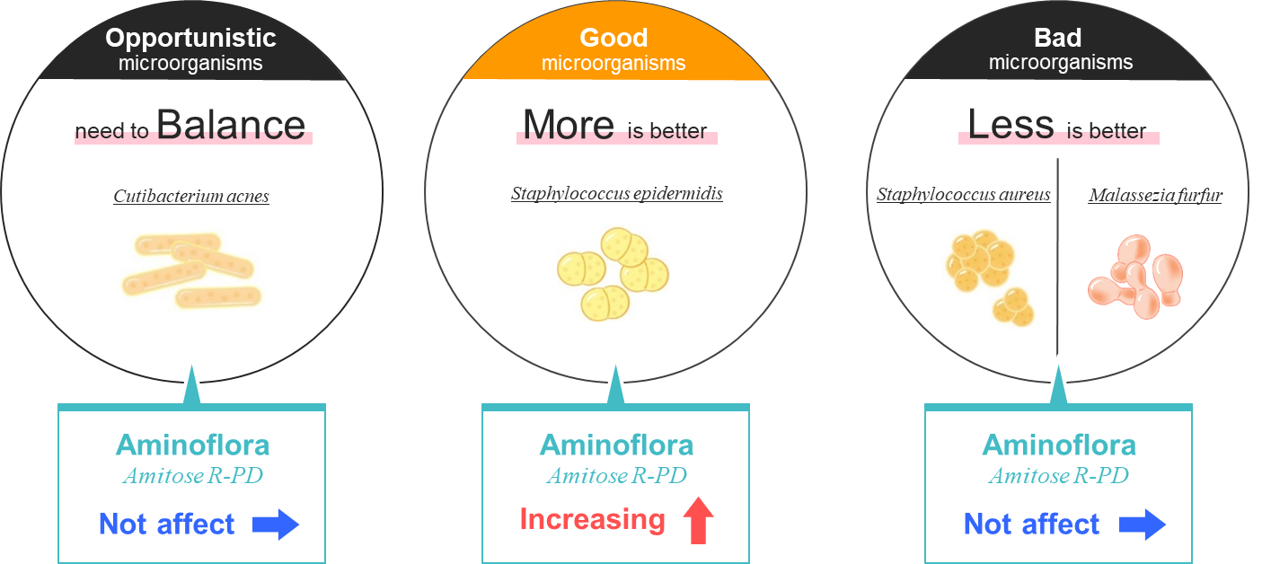 Amitose R-PD Unleashes the Potential of Skin Microbiome for Healthy, Glowing Skin