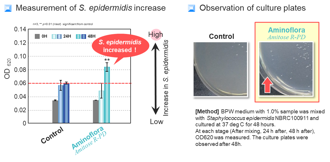 Amitose R-PD Unleashes the Potential of Skin Microbiome for Healthy, Glowing Skin